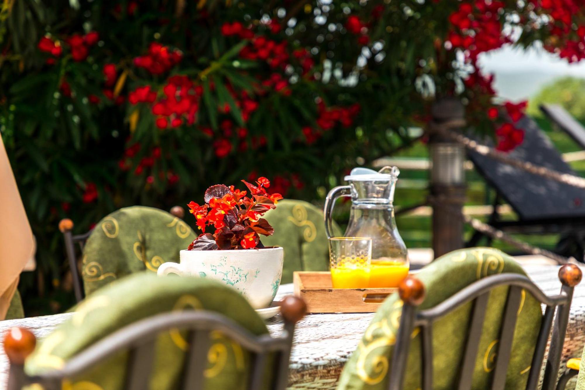 Villa Marco Polo 부드바 외부 사진